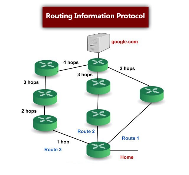 معرفی پروتکل مسیریابی RIP