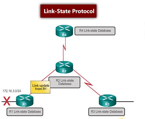 انواع پروتکل مسیریابی در شبکه